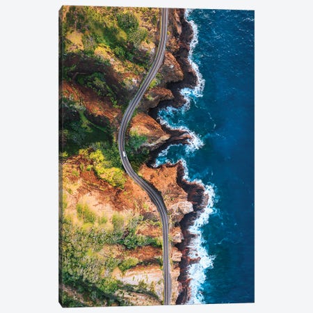 Coastal Road, Oahu, Hawaii Canvas Print #TEO1574} by Matteo Colombo Canvas Artwork