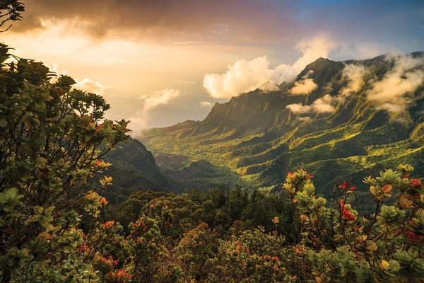 Kalalau Valley, Kauai Island, Hawaii