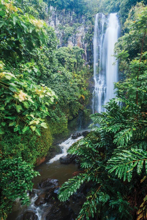 Waterfall In The Forest, Maui, Hawaii