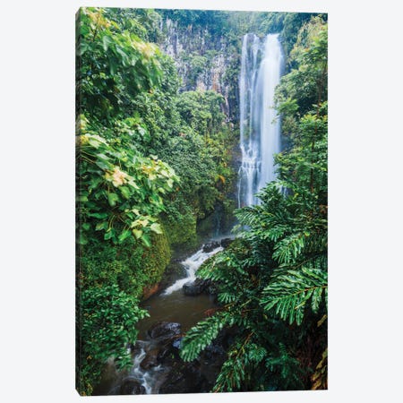 Waterfall In The Forest, Maui, Hawaii Canvas Print #TEO1585} by Matteo Colombo Canvas Print