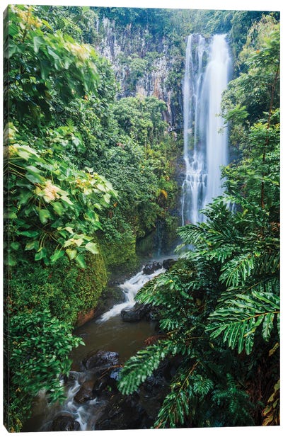 Waterfall In The Forest, Maui, Hawaii Canvas Art Print - Waterfall Art