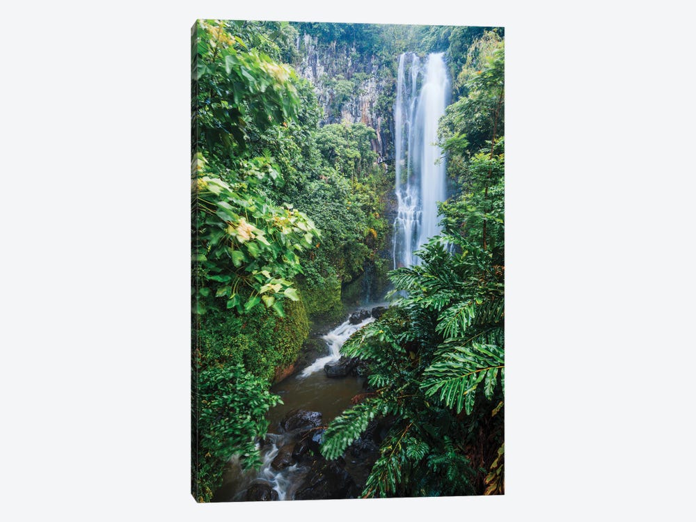 Waterfall In The Forest, Maui, Hawaii by Matteo Colombo 1-piece Canvas Artwork
