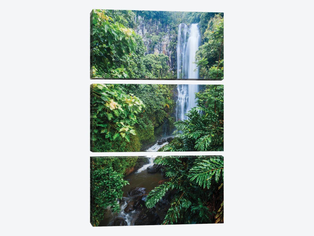 Waterfall In The Forest, Maui, Hawaii by Matteo Colombo 3-piece Canvas Art
