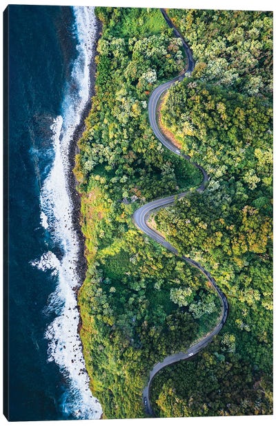 Coastal Road To Hana, Maui, Hawaii Canvas Art Print - Celery