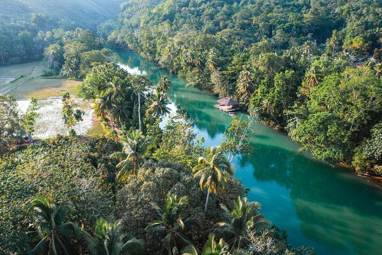 River In The Forest, Bohol, Philippines