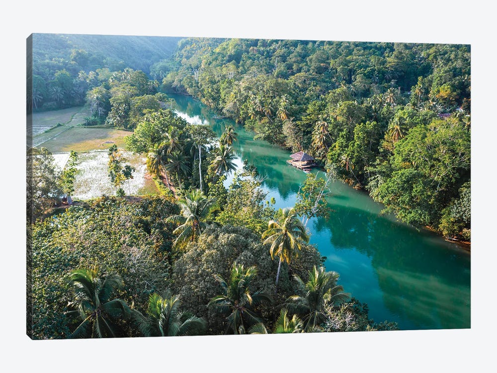 River In The Forest, Bohol, Philippines by Matteo Colombo 1-piece Canvas Art