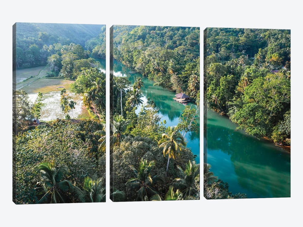River In The Forest, Bohol, Philippines by Matteo Colombo 3-piece Canvas Art