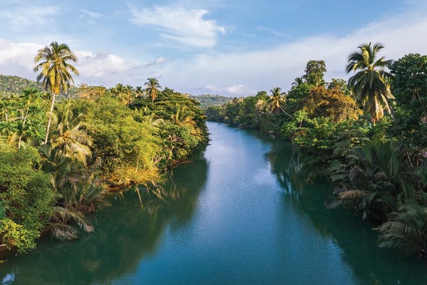 Philippines: Loboc River, Bohol, Philippines by Matteo Colombo