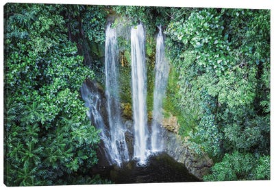 Waterfall In The Forest, Bohol, Philippines Canvas Art Print - Philippines Art