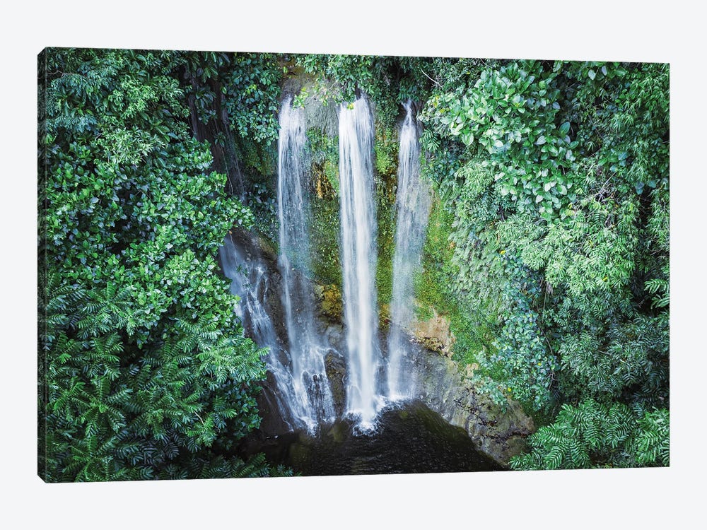 Waterfall In The Forest, Bohol, Philippines by Matteo Colombo 1-piece Canvas Artwork