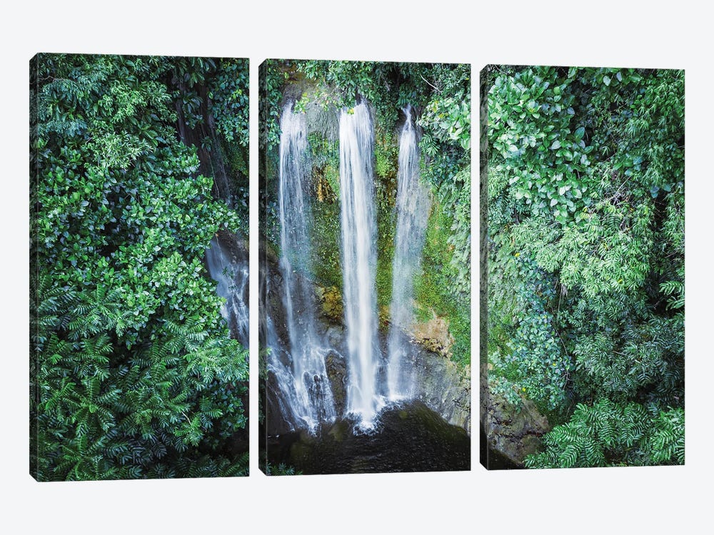 Waterfall In The Forest, Bohol, Philippines by Matteo Colombo 3-piece Canvas Artwork