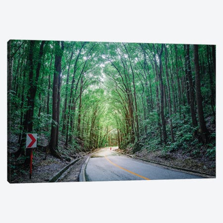 Road Through The Forest, Bohol, Philippines Canvas Print #TEO1595} by Matteo Colombo Canvas Art