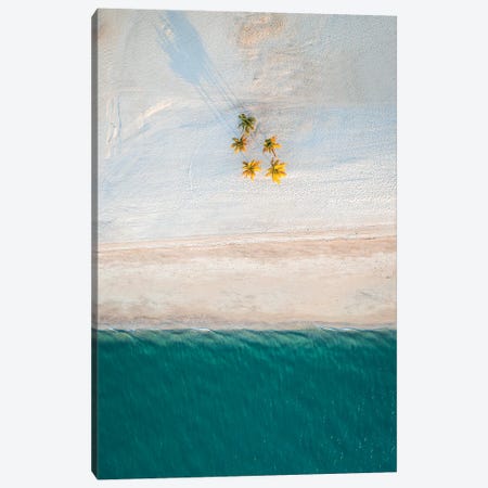 Minimalist Beach With Palm Trees Canvas Print #TEO1607} by Matteo Colombo Canvas Wall Art