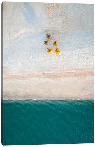Minimalist Beach With Palm Trees Canvas Art Print - Malaysia Art