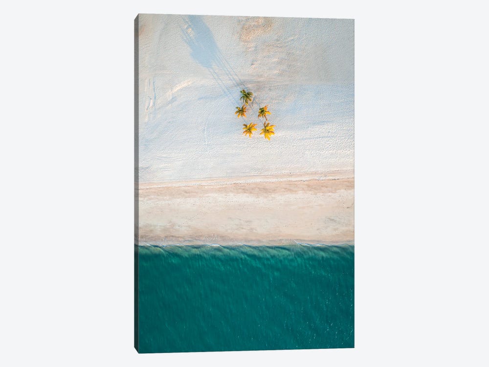 Minimalist Beach With Palm Trees by Matteo Colombo 1-piece Canvas Art