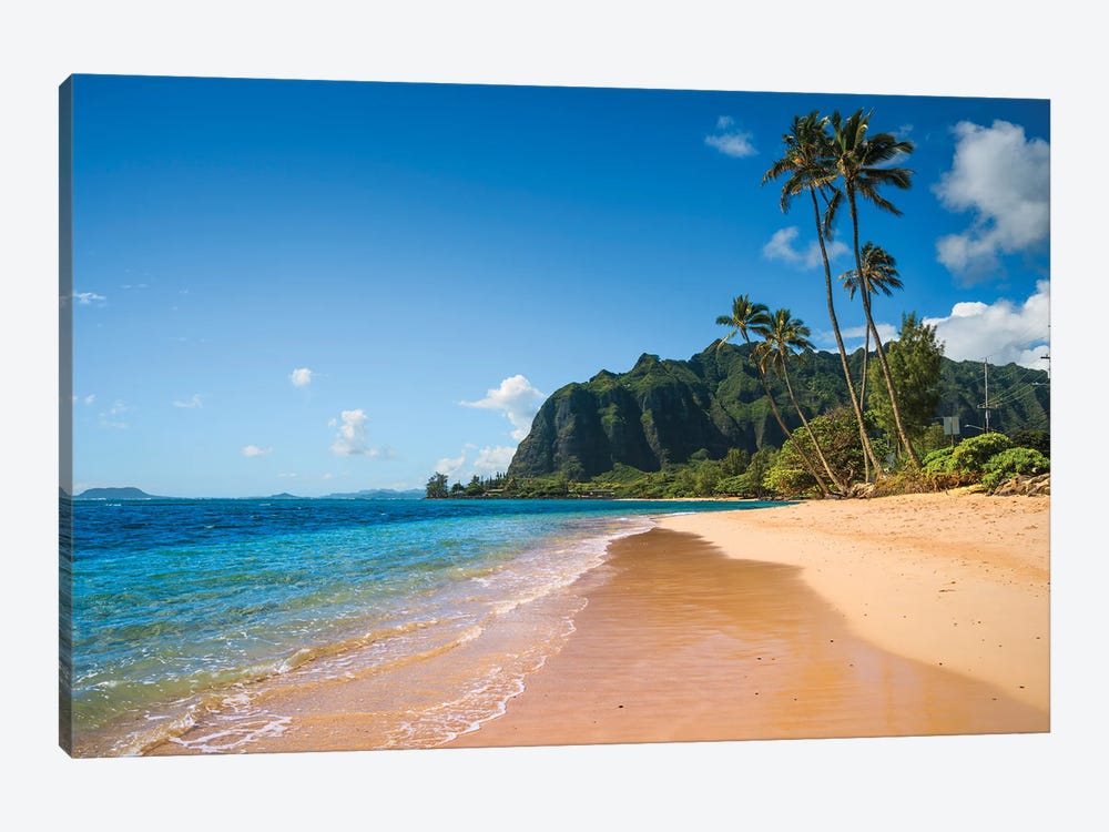 Tropical Beach With Palm Tree, Oahu, Hawaii by Matteo Colombo 1-piece Canvas Art