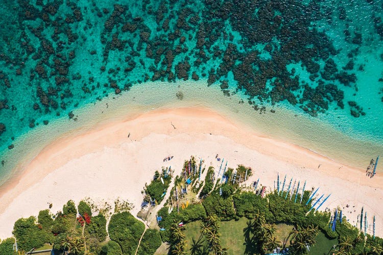 Beach And Ocean, Hawaii I