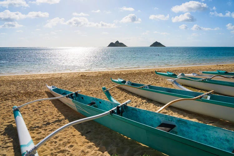 Canoes Lined Up At The Beach, Hawaii