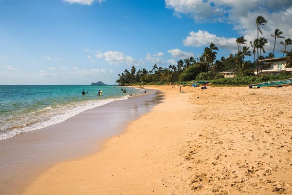 Oahu: Tropical Beach, Oahu Island, Hawaii by Matteo Colombo