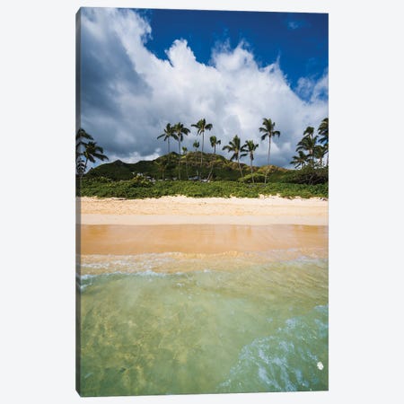 Beach And Island, Oahu, Hawaii Canvas Print #TEO1634} by Matteo Colombo Canvas Print
