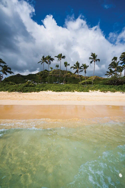 Beach And Island, Oahu, Hawaii