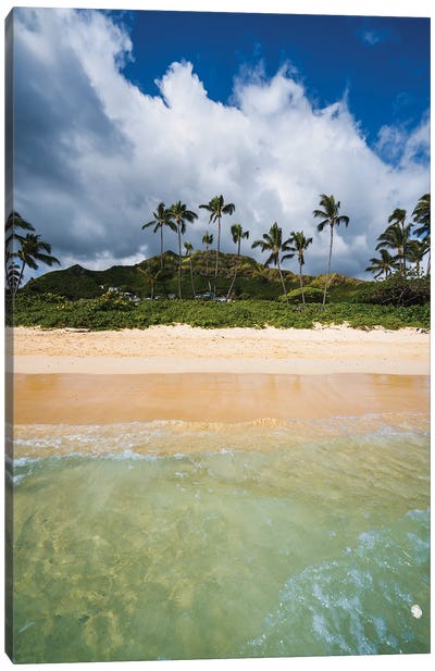 Beach And Island, Oahu, Hawaii Canvas Art Print