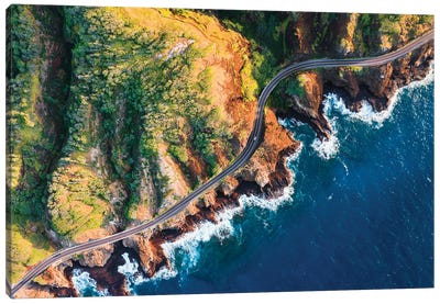 Road On The Coast Of Oahu, Hawaii I Canvas Art Print - Aerial Photography