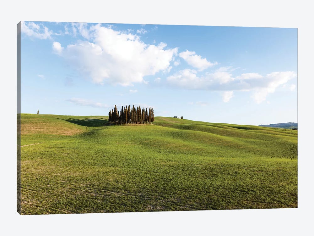 Springtime In Tuscany, Italy by Matteo Colombo 1-piece Canvas Wall Art