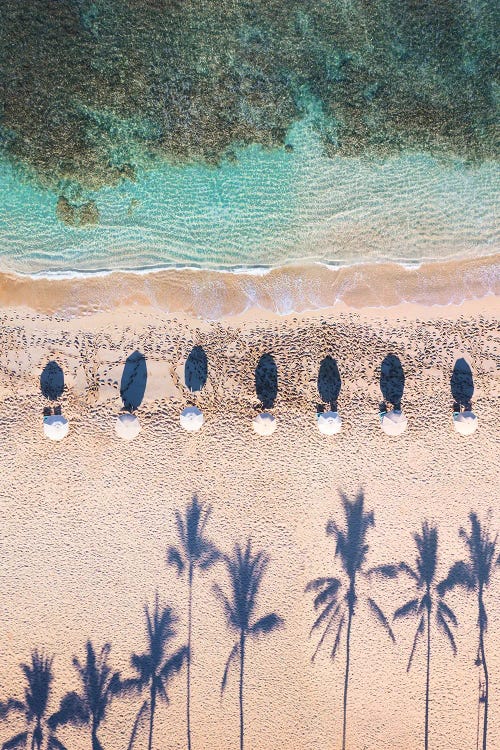 Aerial View Of Waikiki Beach With Sunshades, Hawaii