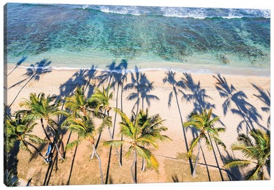Palm Trees On Waikiki Beach, Hawaii I Canvas Art Print - Aerial Photography