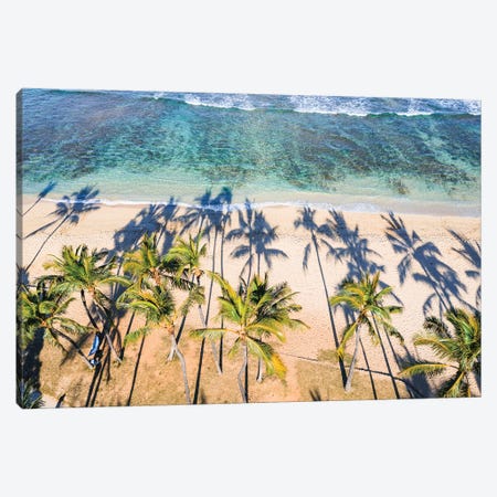 Palm Trees On Waikiki Beach, Hawaii I Canvas Print #TEO1643} by Matteo Colombo Canvas Art Print