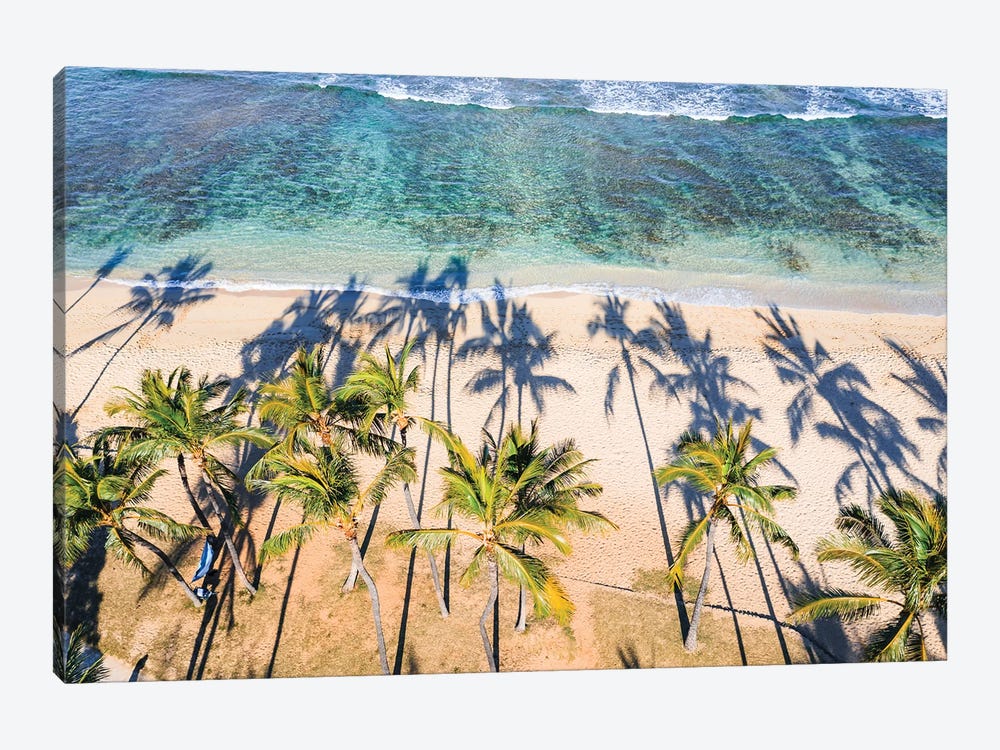 Palm Trees On Waikiki Beach, Hawaii I by Matteo Colombo 1-piece Canvas Wall Art