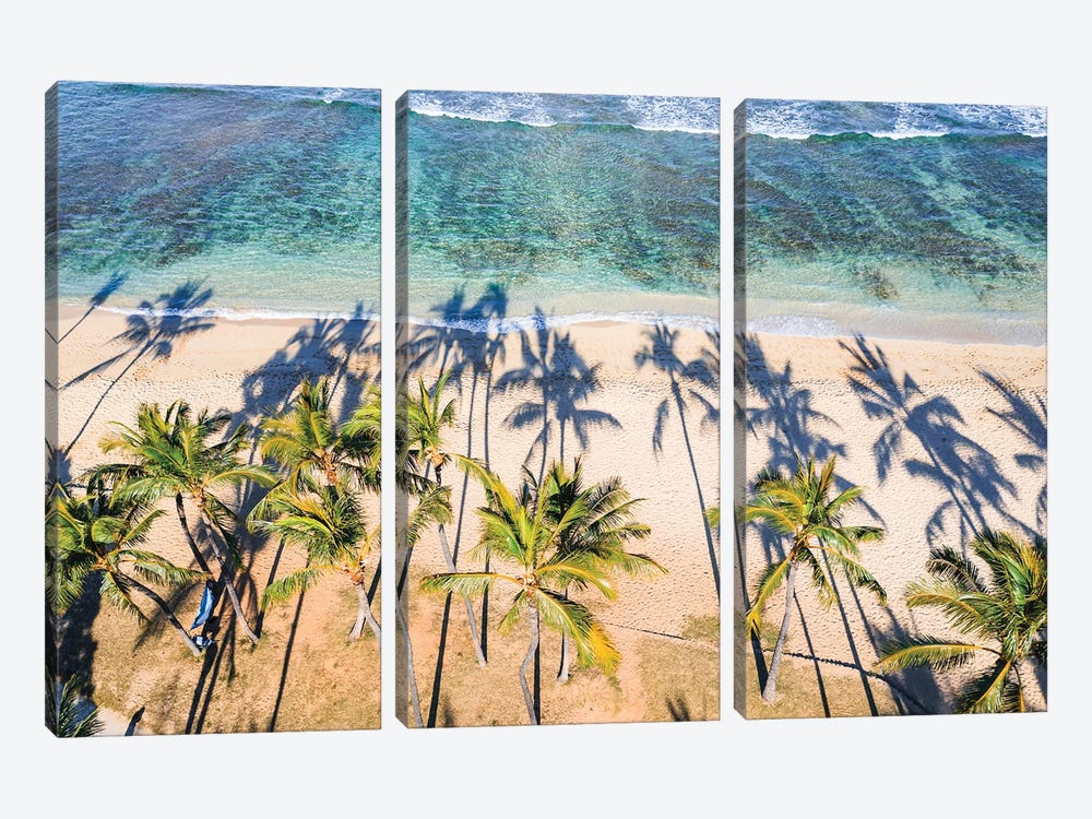 Palm Trees On Waikiki Beach, Hawaii I by Matteo Colombo 3-piece Canvas Art