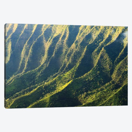 Mountain Ridges, Nature Abstract, Kauai, Hawaii Canvas Print #TEO1652} by Matteo Colombo Canvas Artwork