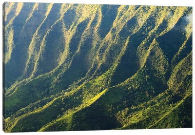 Mountain Ridges, Nature Abstract, Kauai, Hawaii Canvas Art Print - Kauai