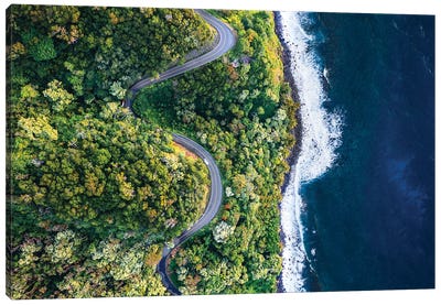 Road To Hana And Coastline Of Maui, Hawaii Canvas Art Print - Aerial Photography