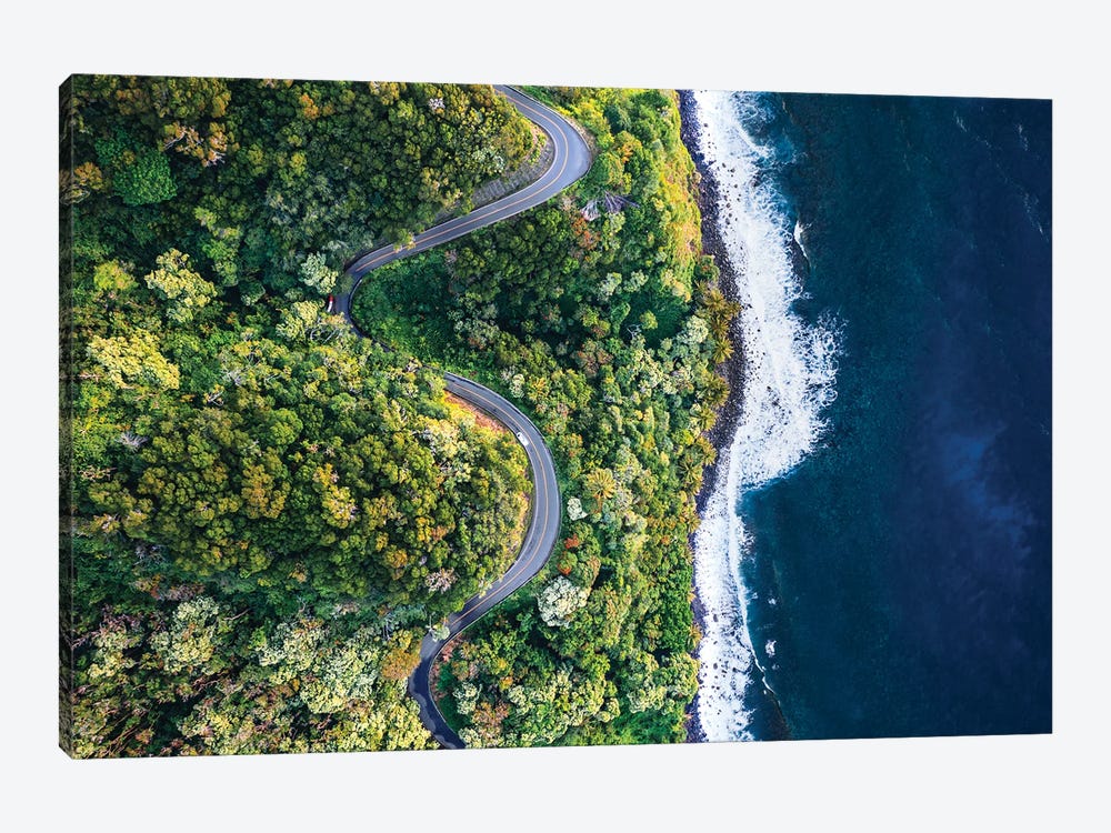Road To Hana And Coastline Of Maui, Hawaii by Matteo Colombo 1-piece Canvas Artwork