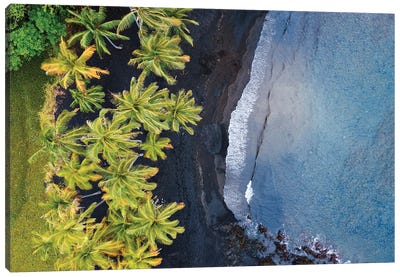 Volcanic Beach, Big Island, Hawaii Canvas Art Print - Aerial Photography