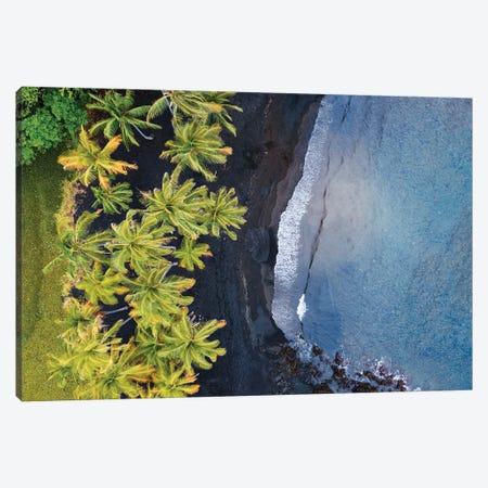Volcanic Beach, Big Island, Hawaii Canvas Print #TEO1670} by Matteo Colombo Canvas Art