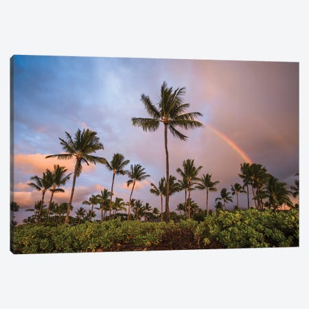 Palm Trees At Sunset With Rainbow, Hawaii Canvas Print #TEO1677} by Matteo Colombo Canvas Art Print