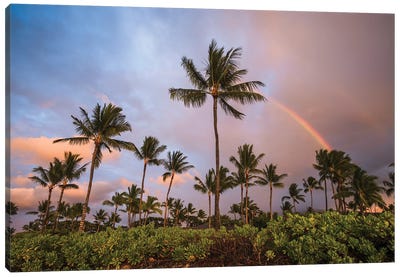 Palm Trees At Sunset With Rainbow, Hawaii Canvas Art Print - Rainbow Art