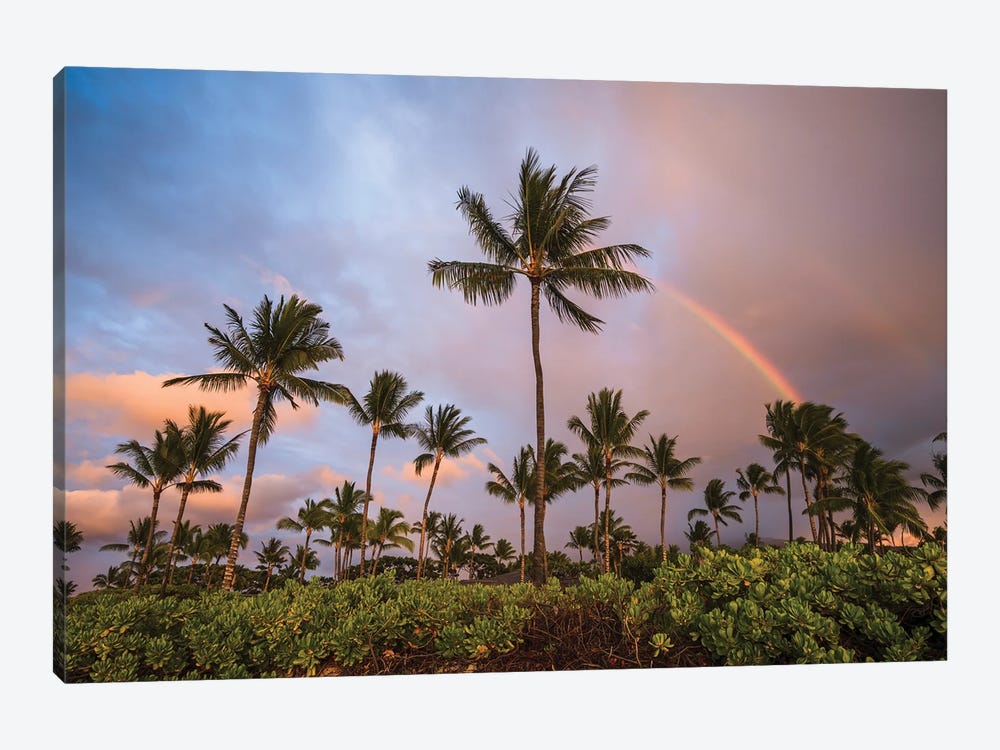 Palm Trees At Sunset With Rainbow, Hawaii by Matteo Colombo 1-piece Canvas Print