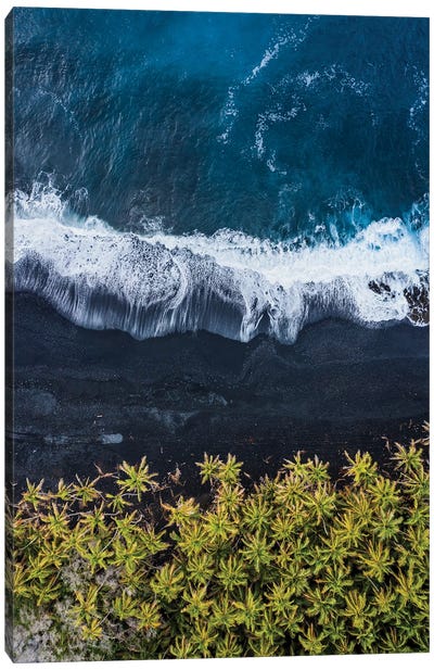 Black Volcanic Beach With Palms, Big Island, Hawaii Canvas Art Print - Aerial Photography