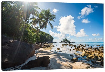Beach With Palm Trees, Seychelles I Canvas Art Print - Island Art