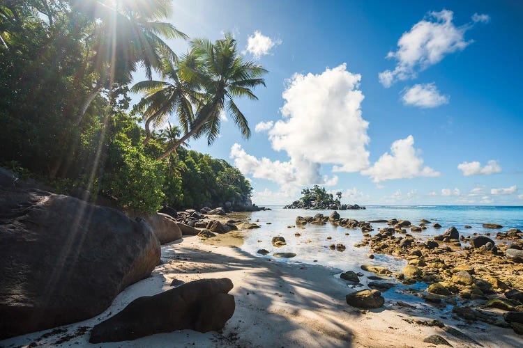 Beach With Palm Trees, Seychelles I