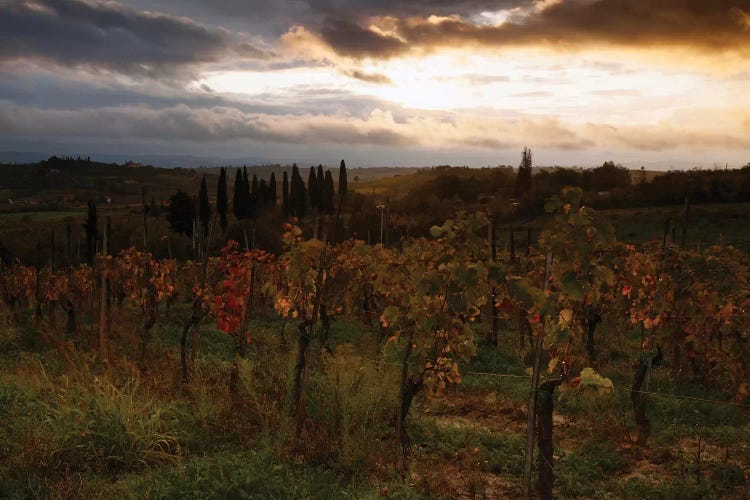 Autumn Sunrise, Tuscany, Italy