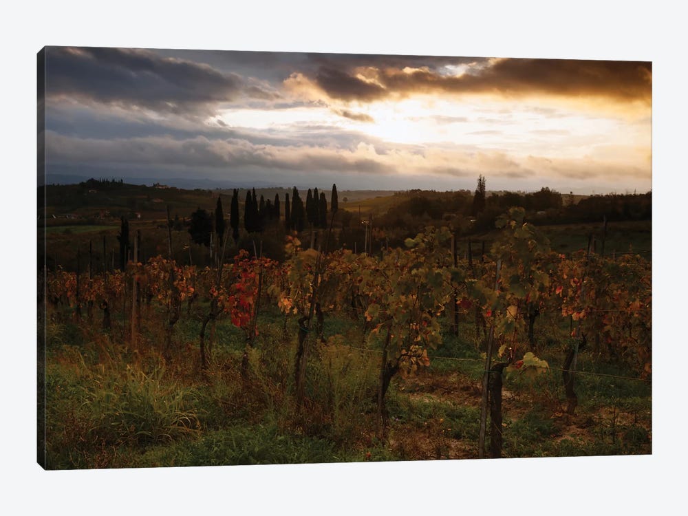 Autumn Sunrise, Tuscany, Italy by Matteo Colombo 1-piece Art Print