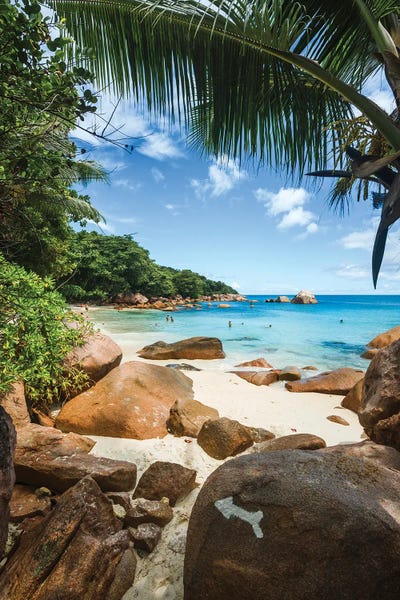 Praslin: Idyllic Tropical Beach In The Seychelles I by Matteo Colombo