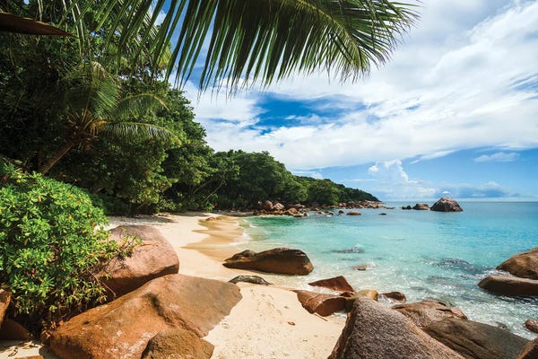 Praslin: Idyllic Tropical Beach In The Seychelles II by Matteo Colombo