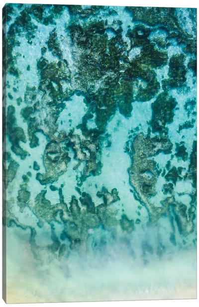Ocean Reef Aerial, Abstract Nature, Seychelles Canvas Art Print - Aerial Beaches 